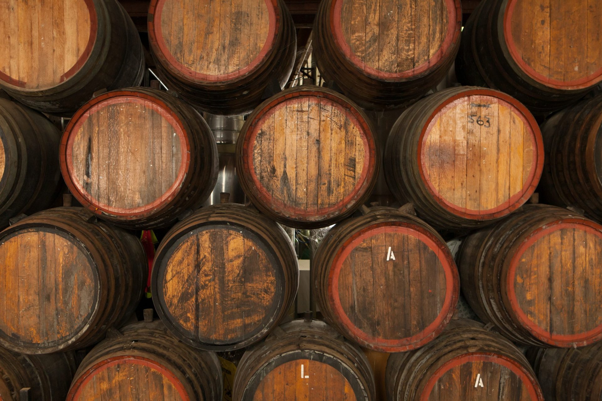 Barricas de vino de Bodegas Delgado